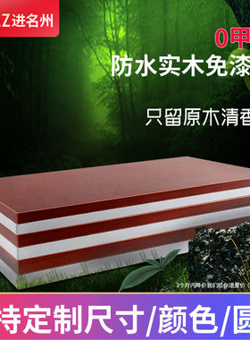 墙上置物板客厅实木隔板搁板壁挂层板书架装饰架书桌生态木板订做