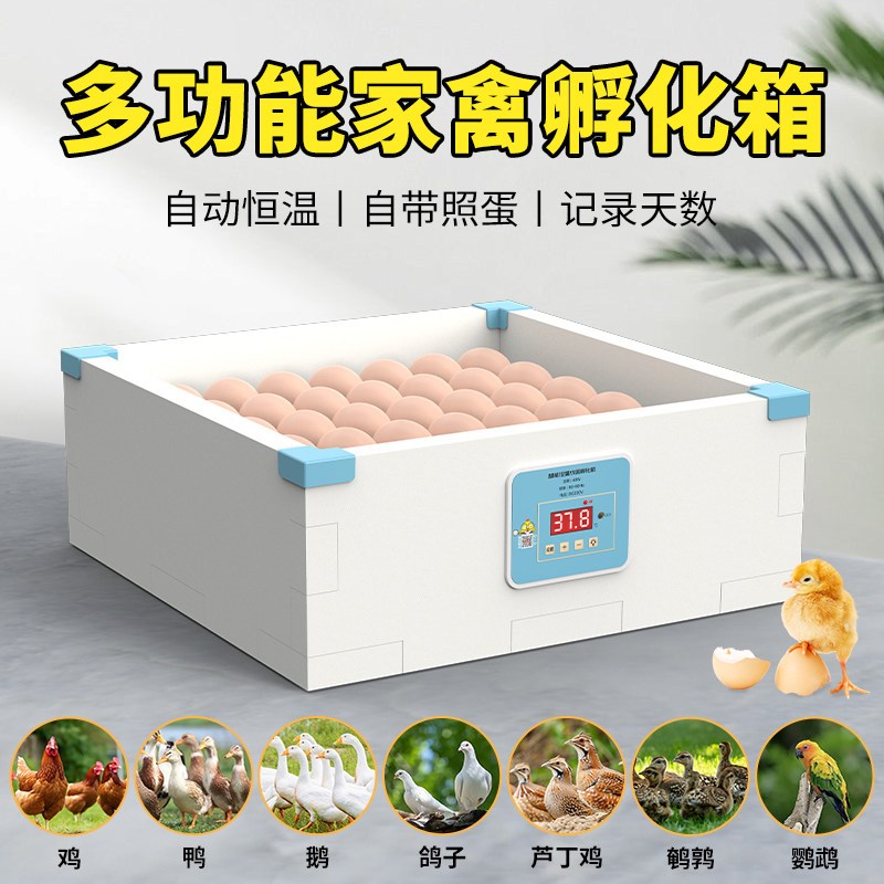 维谦水床孵化器小型家用迷你孵化机全自动智能小鸟蛋芦丁鸡孵蛋箱