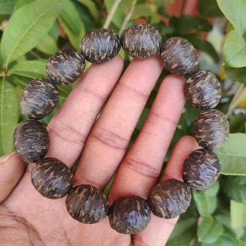 越南芽庄虫漏沉香随形不规则老料14mm沉水级满黑油老料送密封罐