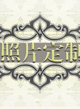 数字油画diy明星漫画个人照片来图定制