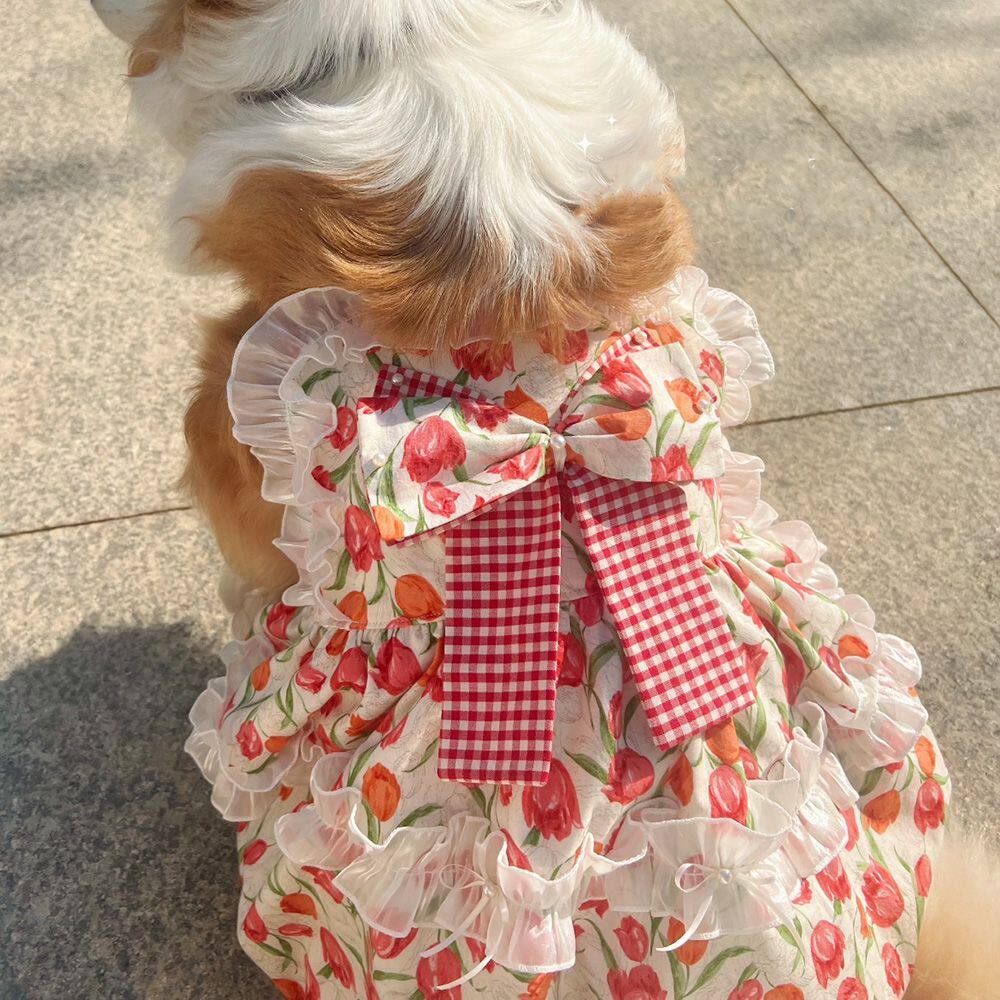 宠物春夏中大型犬公主复