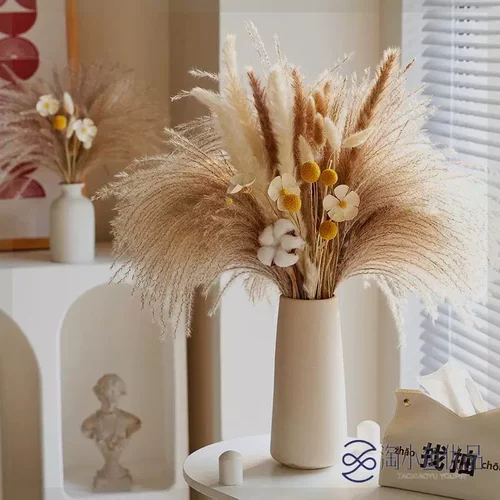 天然风干植物兔尾草芦苇干花花束高级感真花居家玄关客厅摆设花瓶
