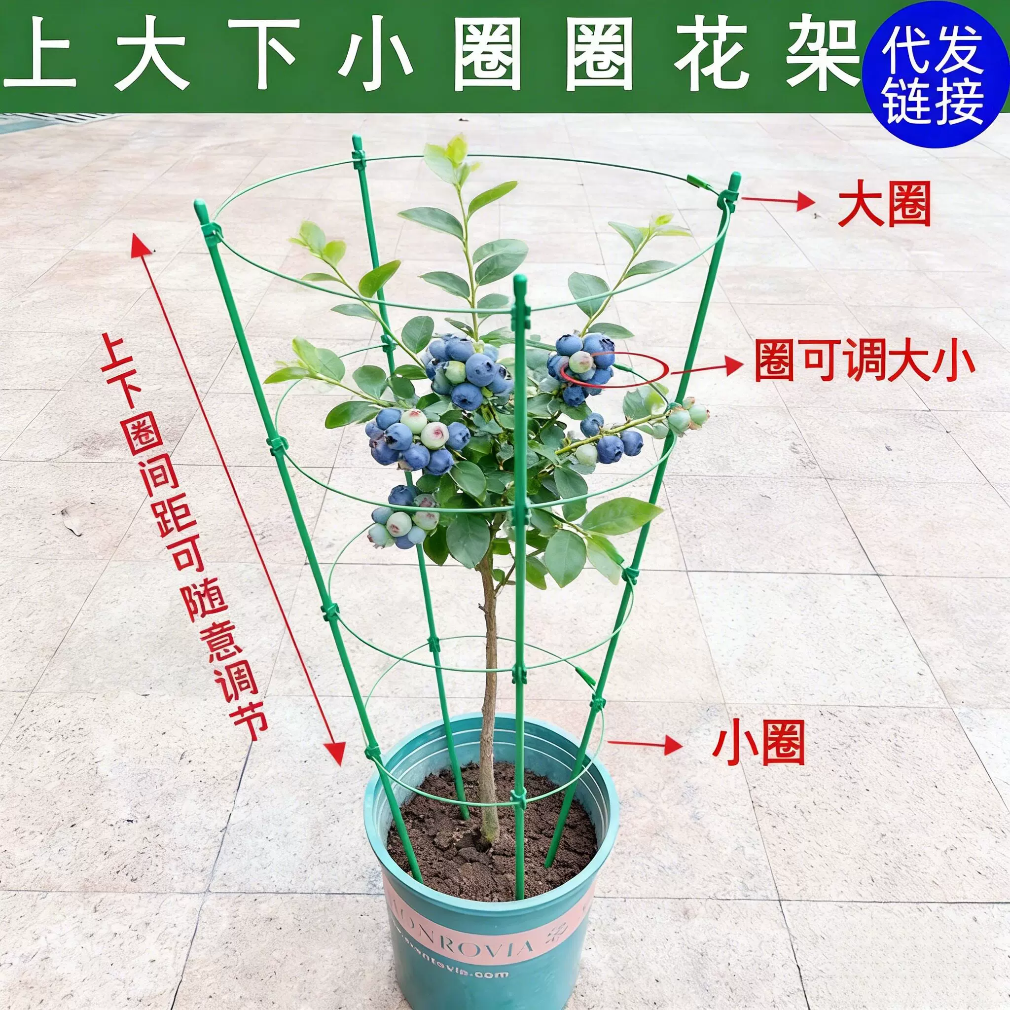 蓝莓支撑架爬藤花架月季蟹爪兰绿箩三层多层可伸缩阳台绿植室内攀