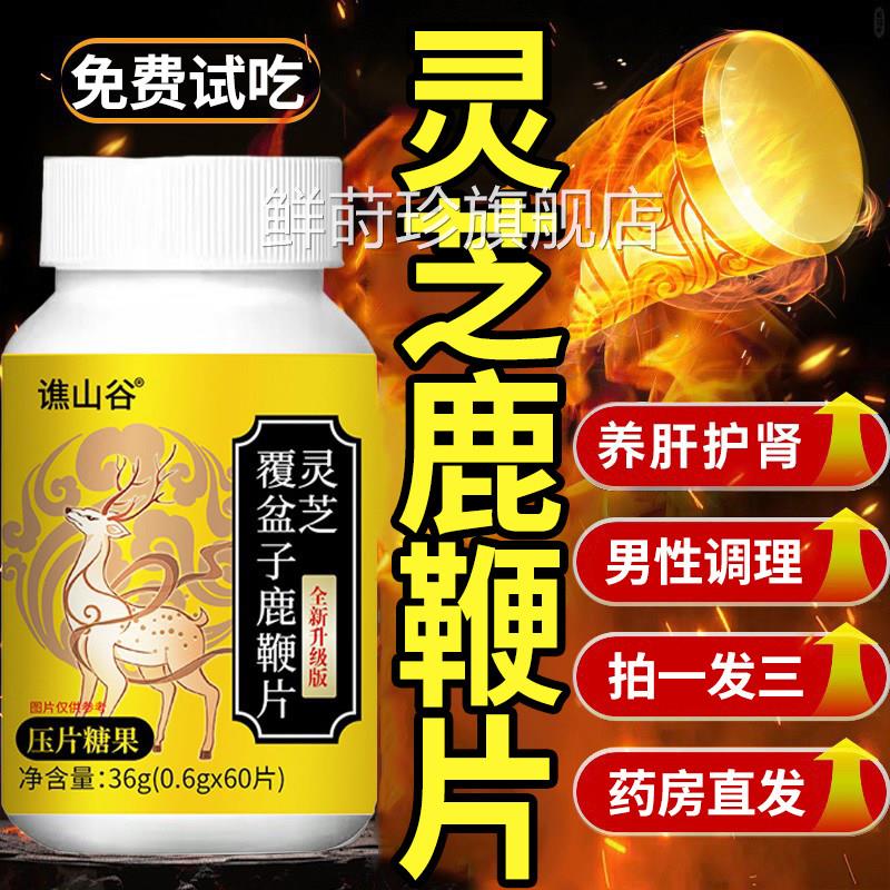 灵芝覆盆子鹿鞭片男女养覆肝护肾调理草本灵芝盆子官方旗舰店正品