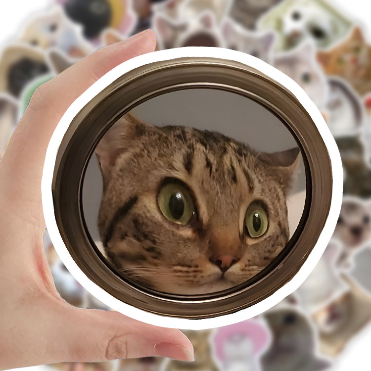 800张猫meme表情包手账贴纸