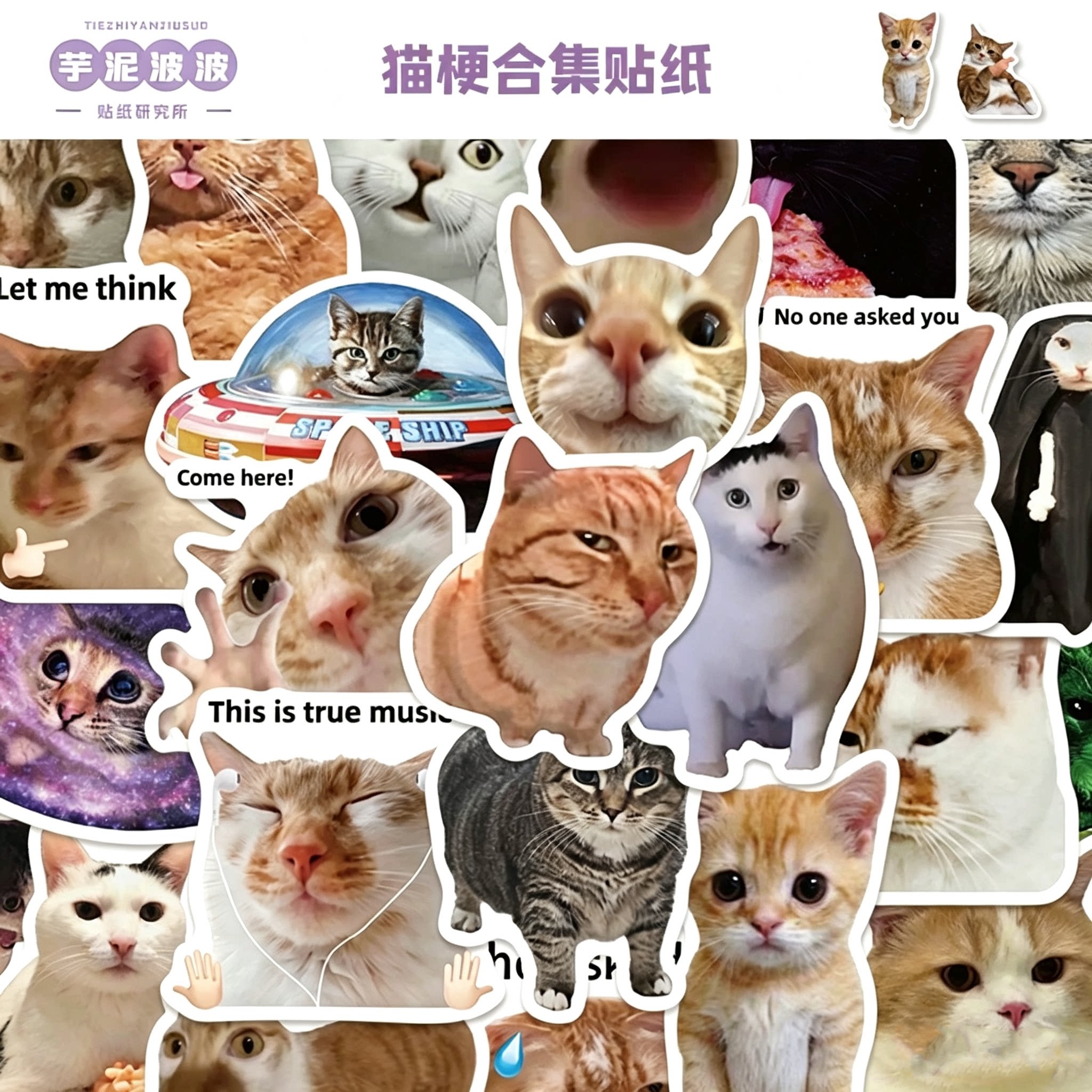 50张猫梗合集可爱搞笑搞怪趣味猫咪表情包沙雕趣味diy手机壳行李箱笔记本电脑装饰贴纸可爱猫咪表情包装饰贴