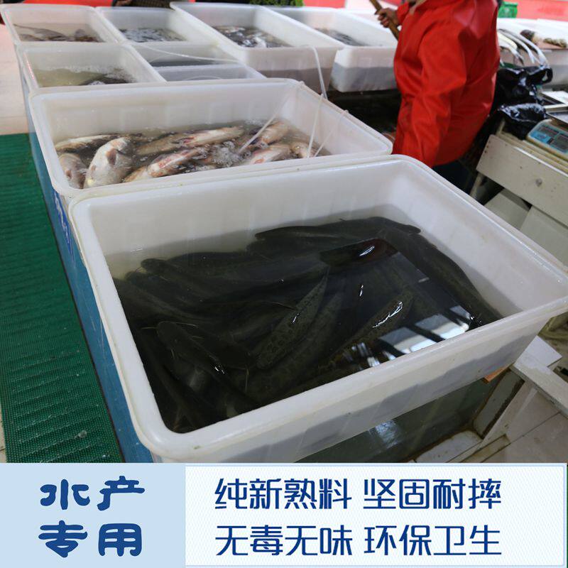 牛筋浅盆养殖塑料水箱家用卖鱼盆长方形水产养鱼养龟箱方桶泡瓷砖