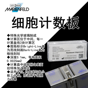 MARIENFELD进口血球细胞计数板(0650030)计数板亮线 暗线 血盖片2
