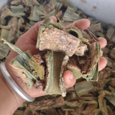 云南深山特产千张纸 树皮木蝴蝶 玉蝴蝶  海床皮自然风干中药材