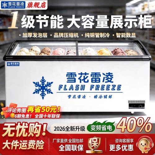 雪花雪糕冰柜商用冷冻冷藏展示柜