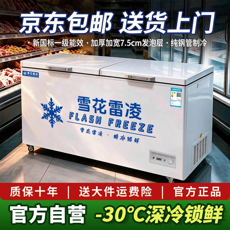 雪花家商两用卧式冰柜冷冻柜冰箱