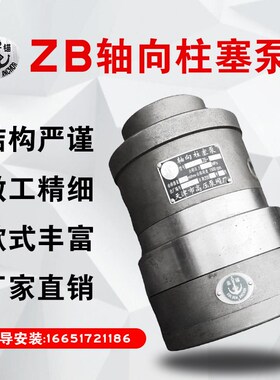 ZB型轴向柱塞泵中天2.5ZB2 2.5ZB14ZB2 4ZB16ZB26ZB18ZB28ZB1金锚