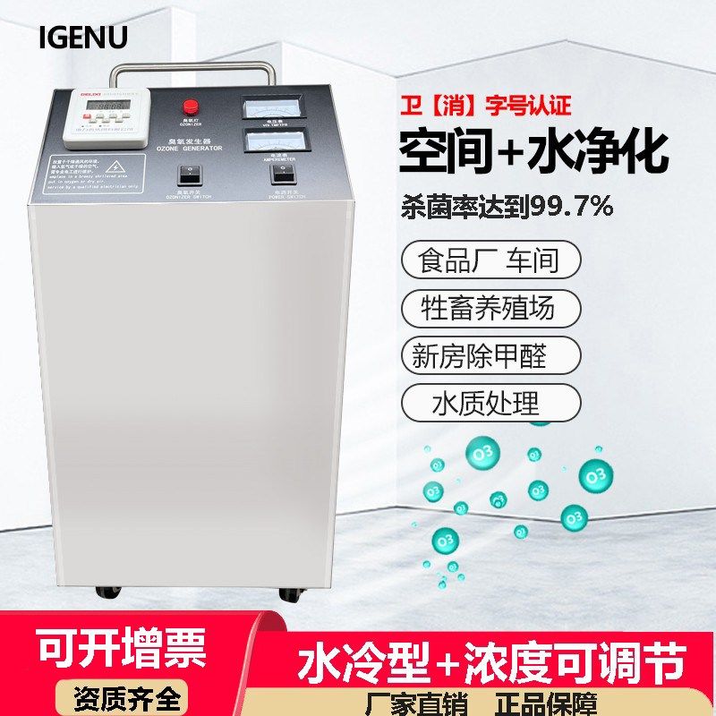 风冷型智能定时20g工业食品厂车间养殖水处理臭氧消毒机