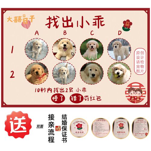 接亲游戏KT板找宠物小狗猫咪定制婚礼结婚整蛊新郎伴郎堵门道具