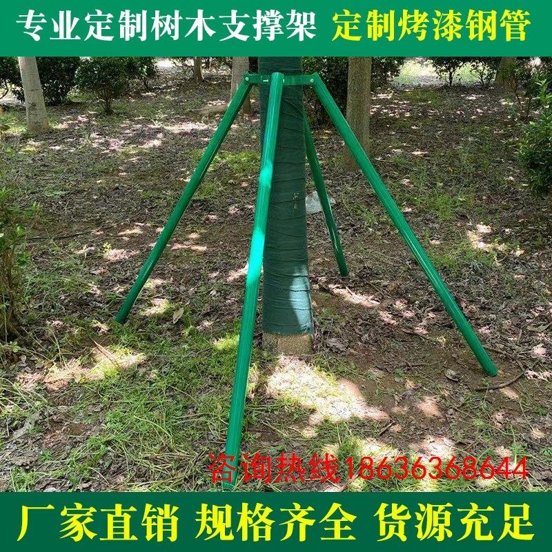 树木支撑杆园林绿化固定支架镀锌钢管防风支架树木支撑架大树