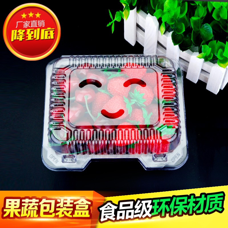 500克草莓包装盒透明一次性果蔬塑料水果沙拉盒透明水果盒一斤装
