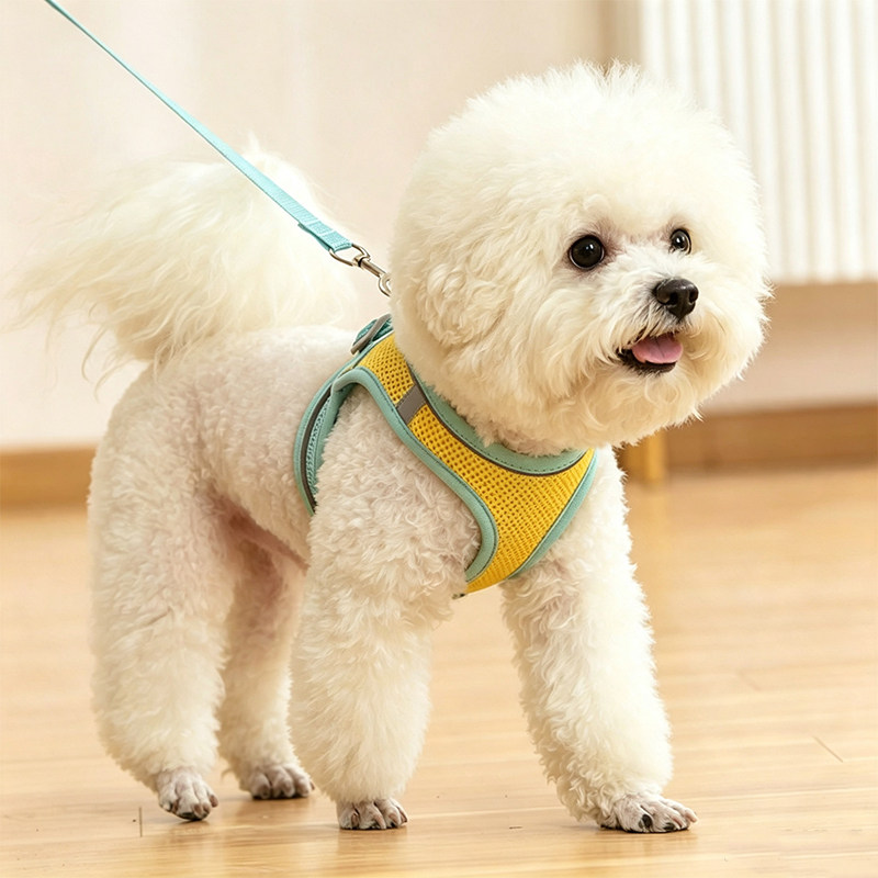 背心式狗狗牵引绳小型犬泰迪比熊博美幼犬胸背带宠物狗链子遛狗绳图片