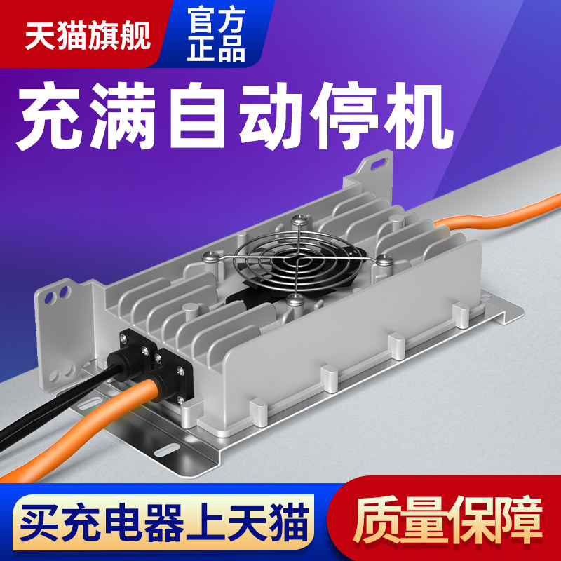 适用雷丁雷军比德文海全御捷汉唐鸿日大阳丽驰电动四轮汽车充电器
