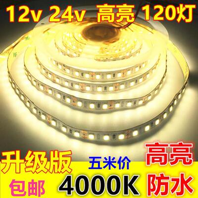 24v4000K高亮12v8mm防水120珠中性光4500K自然白太阳光led灯带条