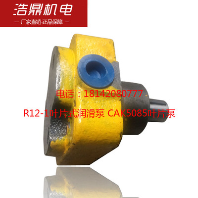CA6140车床用R12-1叶片式润滑泵 车床齿轮泵 CAK5085叶片泵