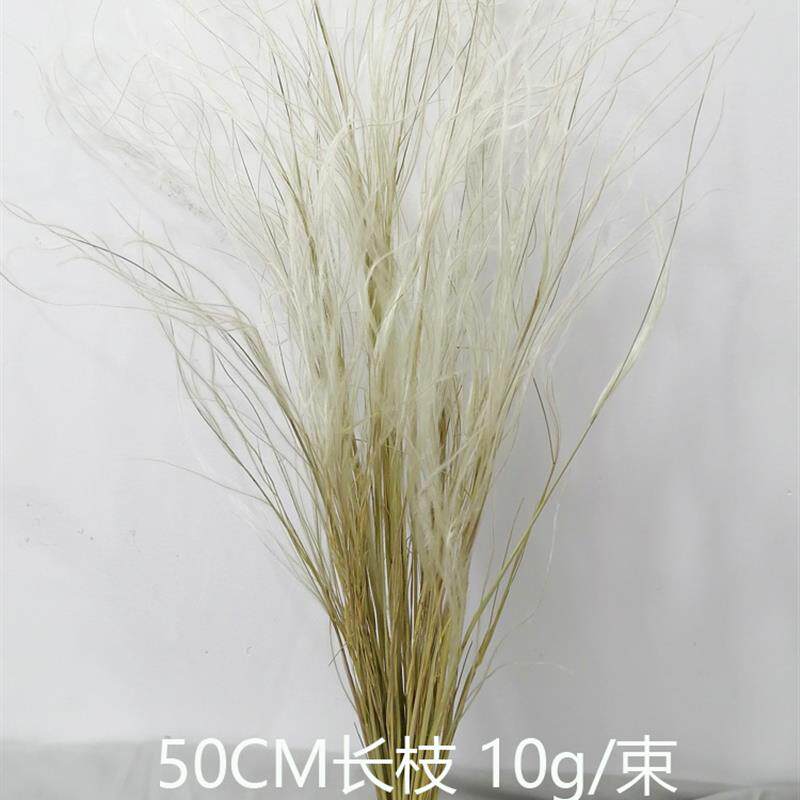 50长枝仙女草干花包羽毛草进口花束小清新客厅装饰天然插花材料