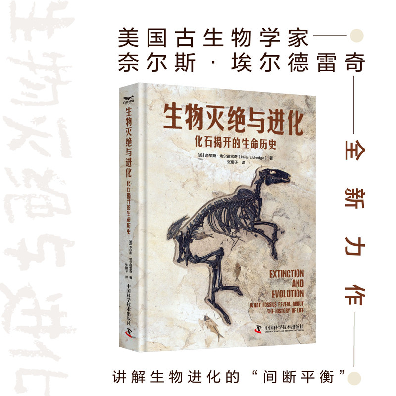 【正版】生物灭绝与进化:化石揭开的生命历史 3-18岁学生科普 300+化石图 专家解读 子读9787523614204
