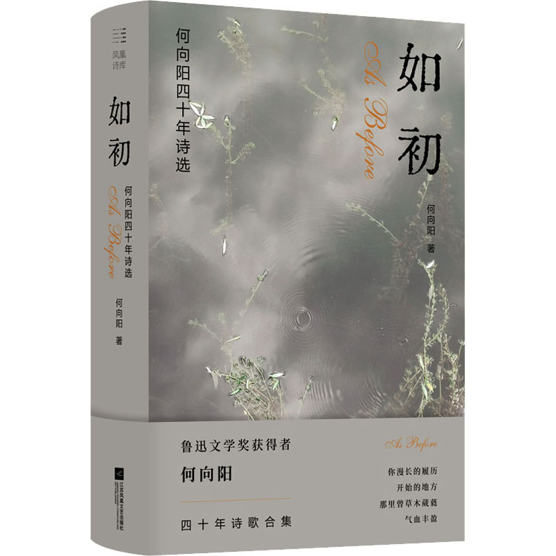 （精装）如初：何向阳四十年诗选 鲁迅文学奖获得者何向阳 四十年诗歌合集 文学爱好者珍藏 精装典藏 四十年精选 ISBN978755947608