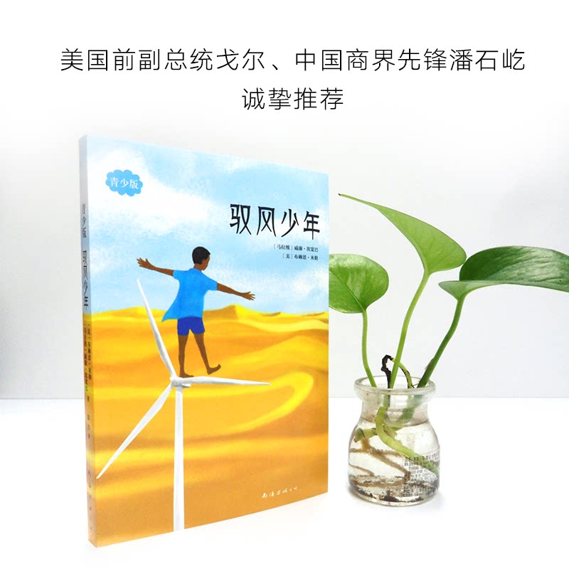 【正版】驭风少年:青少版 驭风少年故事 青少年励志读物 成长逆袭故事 真实经历改编 勇气智慧成长 逆风破局少年 9787544281058