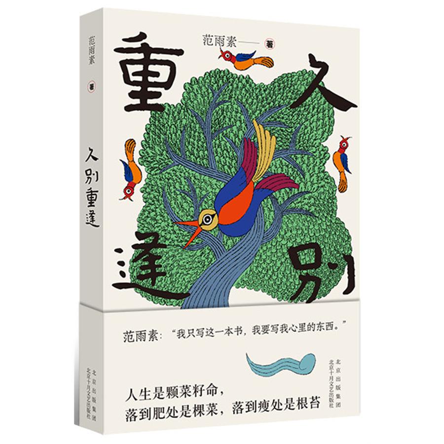 【正版】久别重逢 青春回忆故事 职场重逢经历 真实案例分析 成长蜕变指南 治愈人生感悟 经典文学作品 精美插图设计9787530222294