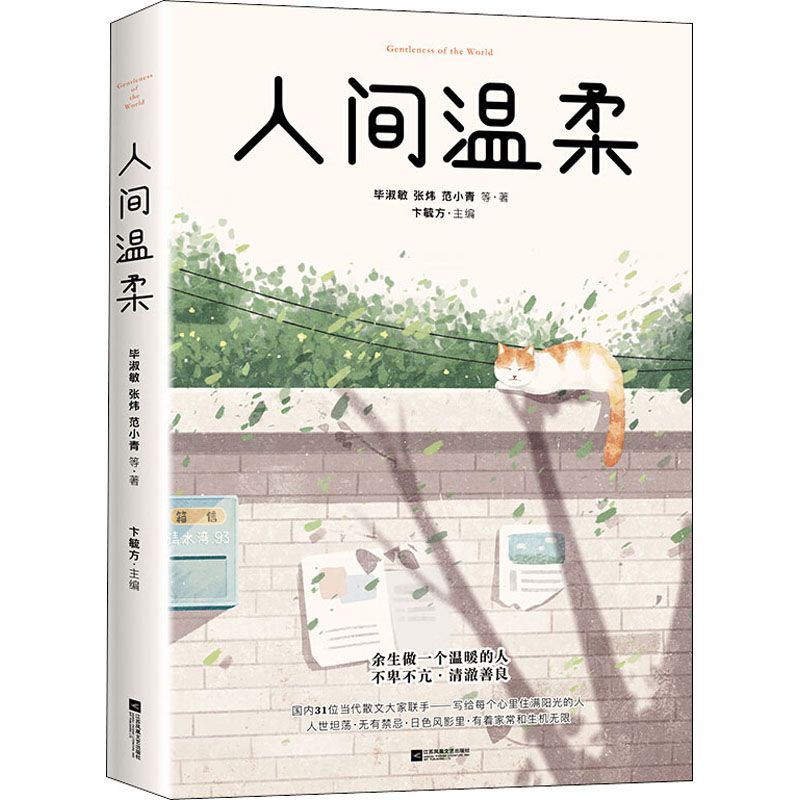 人间温柔 温柔治愈散文 心灵慰藉读物 情感共鸣故事 温暖生活感悟 治愈系文学 温柔语录集 慢生活美学 情绪疗愈指南 9787559438461