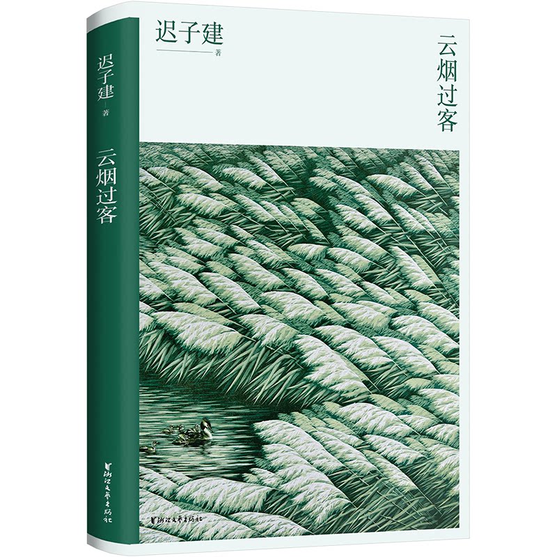 云烟过客（去往极寒之地的温暖之旅，茅盾文学奖得主迟子建散文精选集，讲述北极村的成长故事，记录亲人与友人的温情，分享作家圈