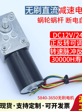 5840-3650蜗轮蜗杆无刷直流减速电机可调速微型大扭力12V24v马达