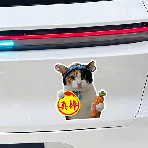适用哈弗枭龙MAX猛龙萝卜纸巾猫车贴meme表情包创意新手实习贴