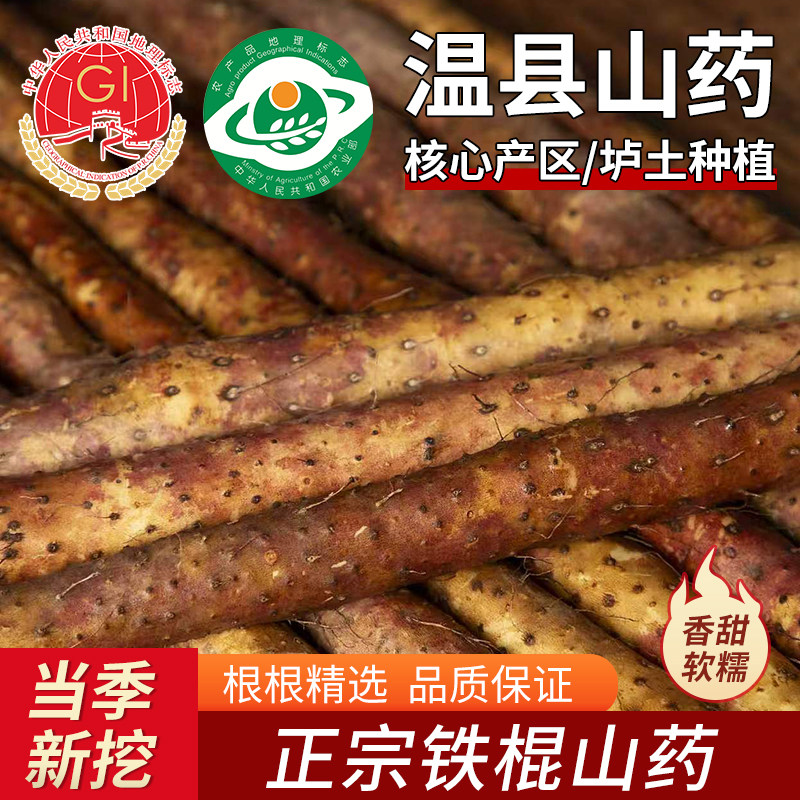 温县垆土铁棍山药河南焦作新鲜怀山药日常食补原产地现挖顺丰包邮