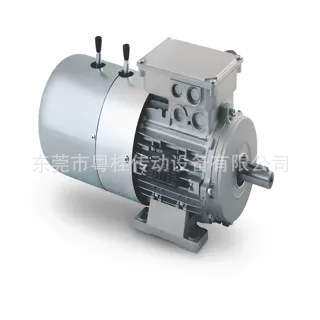 意大利NERI电机 原厂NERI MOTORI马达T50B4 0.06KW