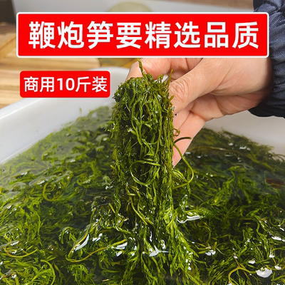 今年新菜精选鞭炮笋10斤商用马尾藻长寿菜龙须海草火锅麻辣烫食材