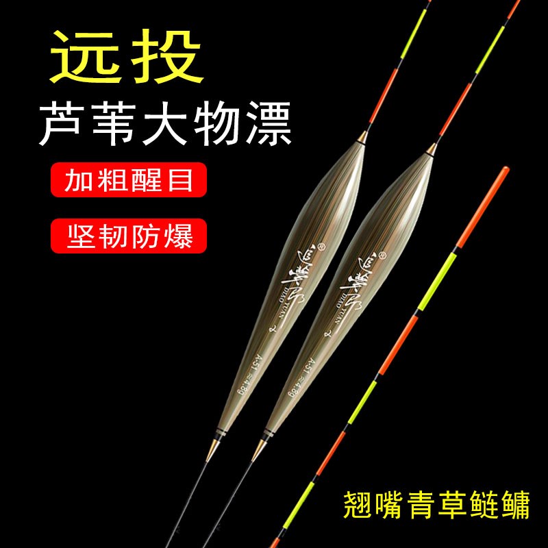 芦苇大物漂70CM长黑坑鲤鱼35CM打浮短漂加粗远投湖库青草鲢鳙浮漂