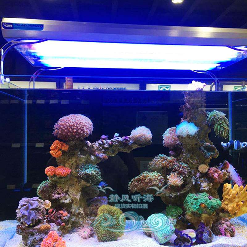 德国KZ灯管水族箱鱼缸led灯管T5HO24/39/54/80W蓝斐济紫蓝白防水