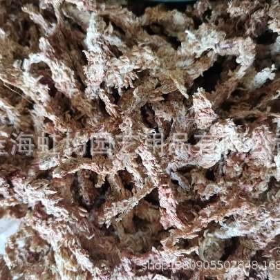 水苔毛毛虫干水苔干苔藓水草兰花爬虫微景观食虫用