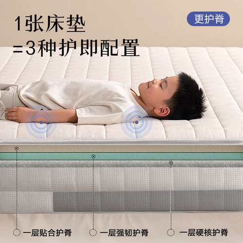 可拆卸席梦思礼恩派爱可扣弹簧护脊床垫老人儿童3D纤维偏硬床垫