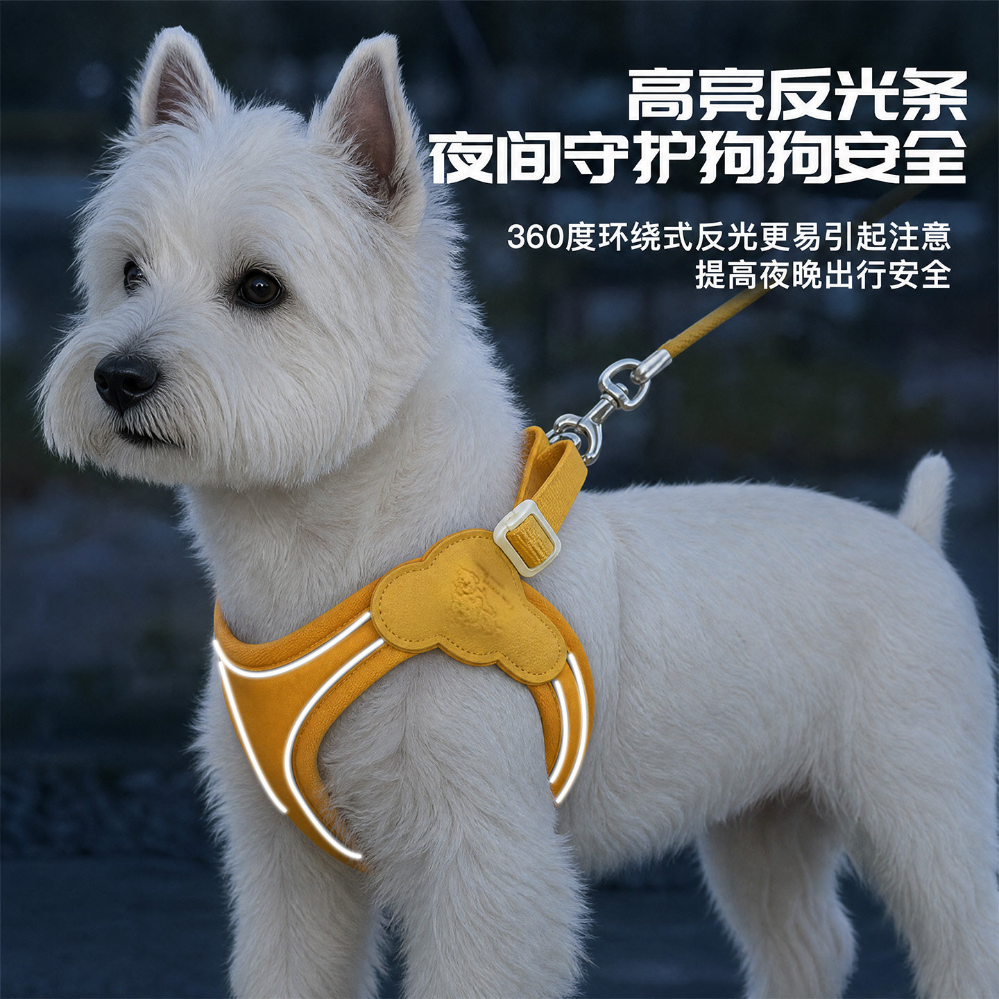 夜间遛狗绳泰迪比熊西高地背心式反光胸背防勒脖防挣脱狗狗牵引绳