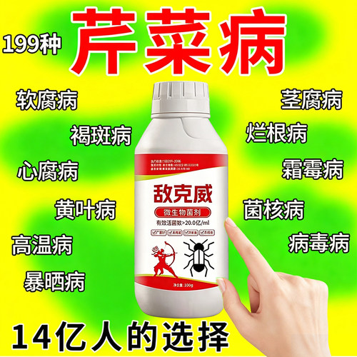 芹菜病专用杀菌剂烂根软腐炭疽