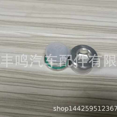带O形圈的磁性差速器放油塞OE号33117525064适用于宝马