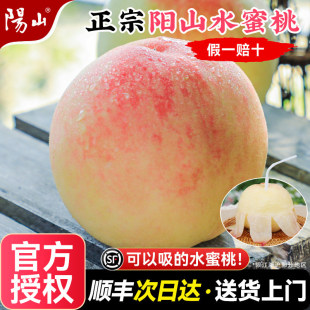 顺丰冷链！无锡水蜜桃3斤8枚礼盒当季现摘