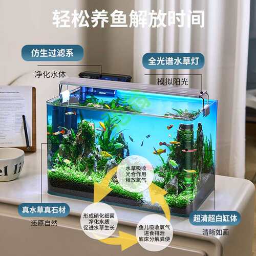 yut鱼缸水族箱客厅小型迷你桌面免换水生态造景小金鱼缸热弯超白