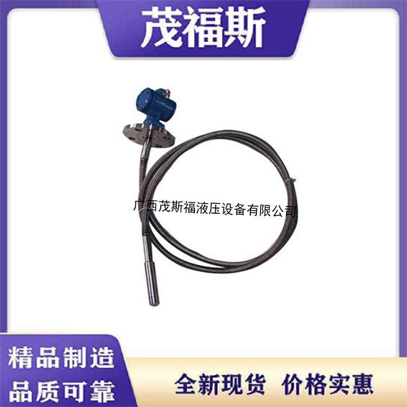不锈钢一体式XE26铠装液位变送器 XE26铠装热电阻变送器