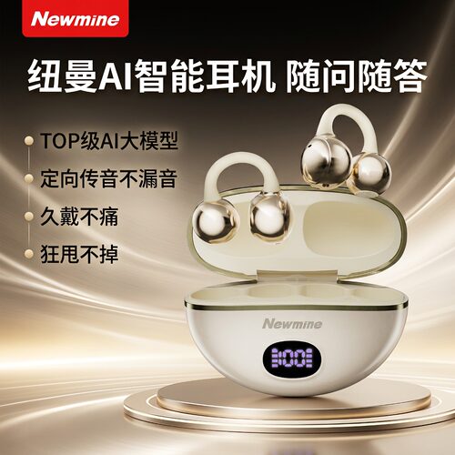 纽曼无线蓝牙耳机AI翻译降噪