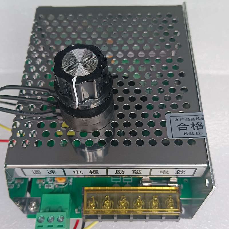 WPM直流永磁有刷电机调速器110220V拉胚机雕刻机专用电机控制器