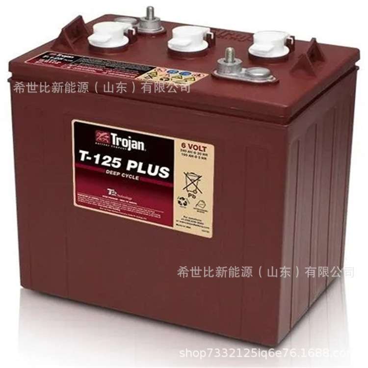 Trojan邱健蓄电池 T-145洗地机6V260AH升降机观光车堆高车