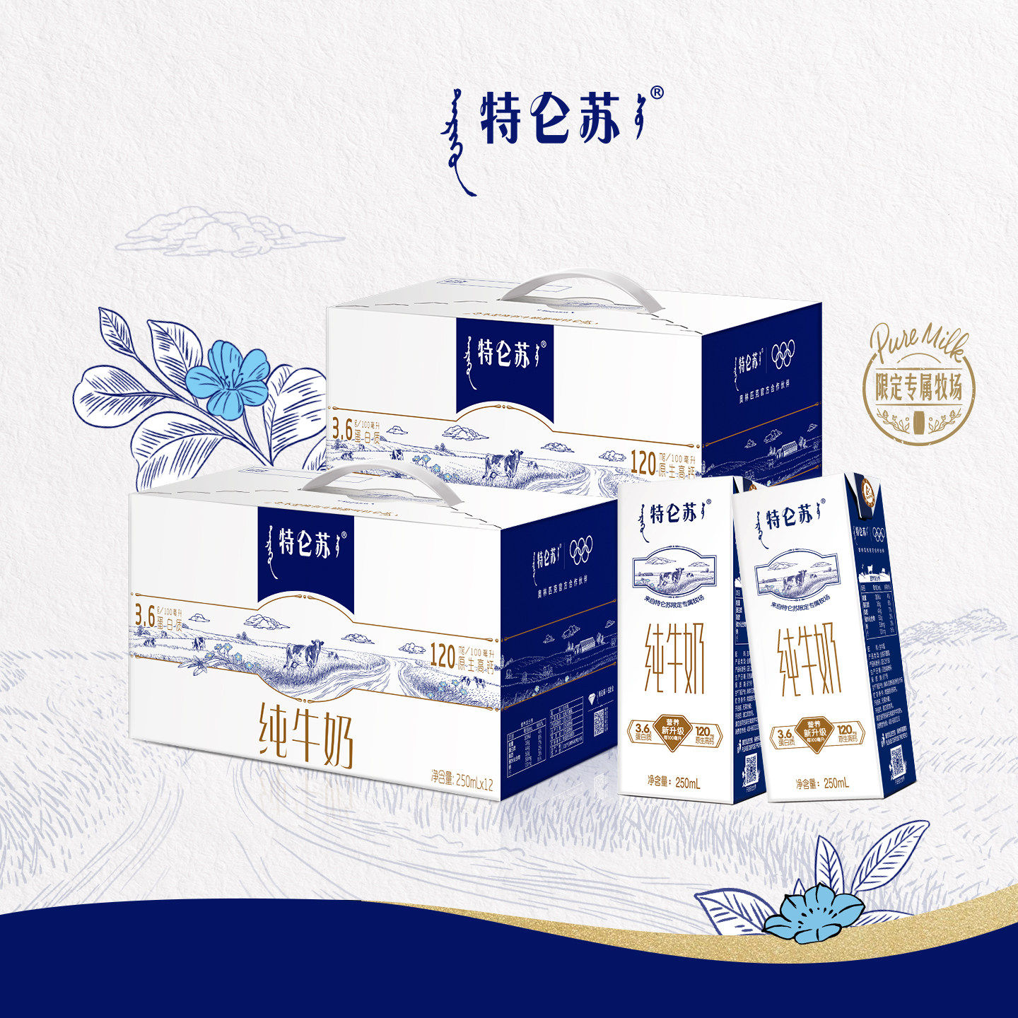 3月2提蒙牛特仑苏纯牛奶250ml*12盒整箱高端纯牛奶礼盒送礼早餐奶